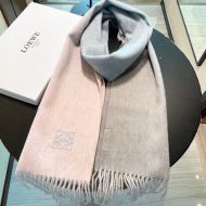 Loewe Degrade Cashmere Scarf In Cherry/Grey