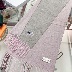 Loewe Bicolour Scarf Cashmere In Grey/Cherry