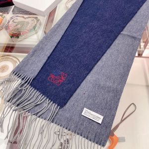 Loewe Bicolour Scarf Cashmere In Navy Blue/Grey