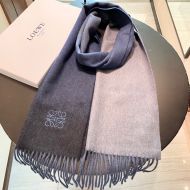 Loewe Degrade Cashmere Scarf In Dark Grey/Grey