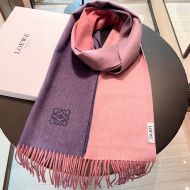 Loewe Degrade Cashmere Scarf In Purple/Pink